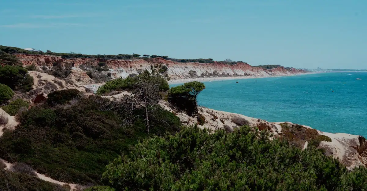 Kosten behangen in portugal